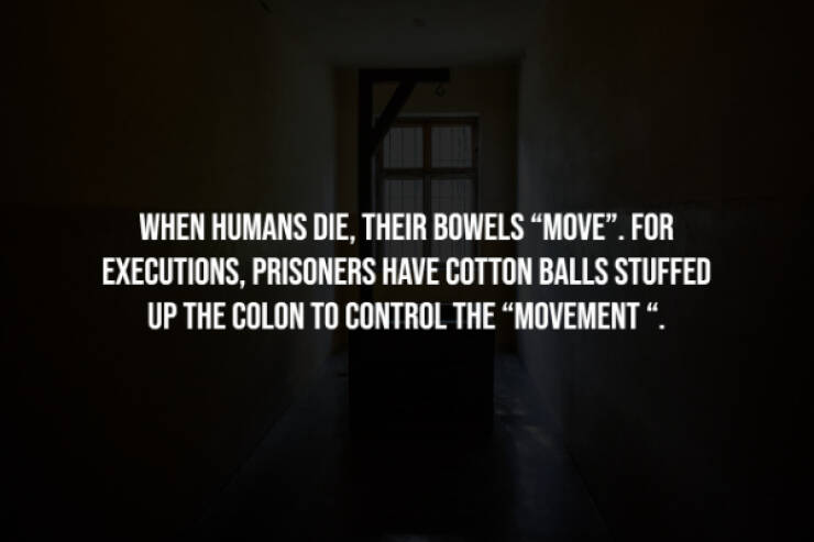 Creepy Facts You Can’t Unknow