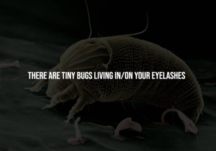 Creepy Facts You Can’t Unknow