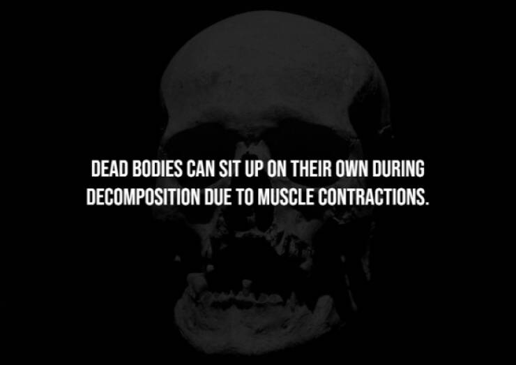 Creepy Facts You Can’t Unknow