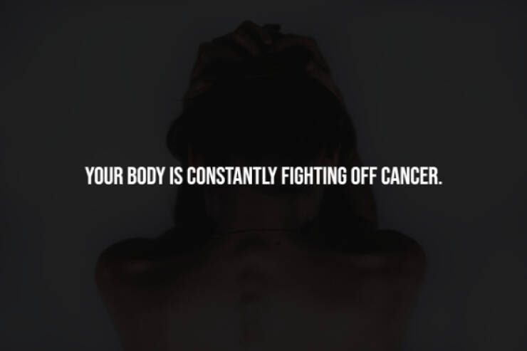 Creepy Facts You Can’t Unknow