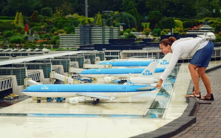 Daily Picdump Daily Picdump