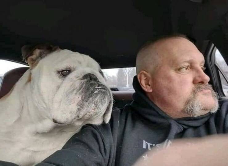 Daily Picdump Daily Picdump