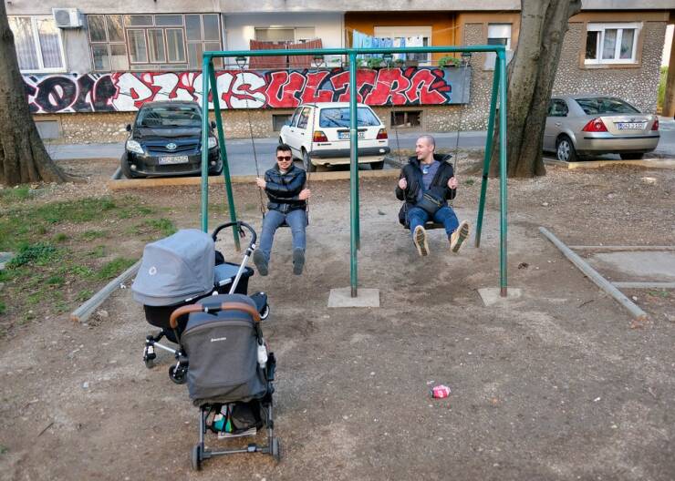 Daily Picdump Daily Picdump