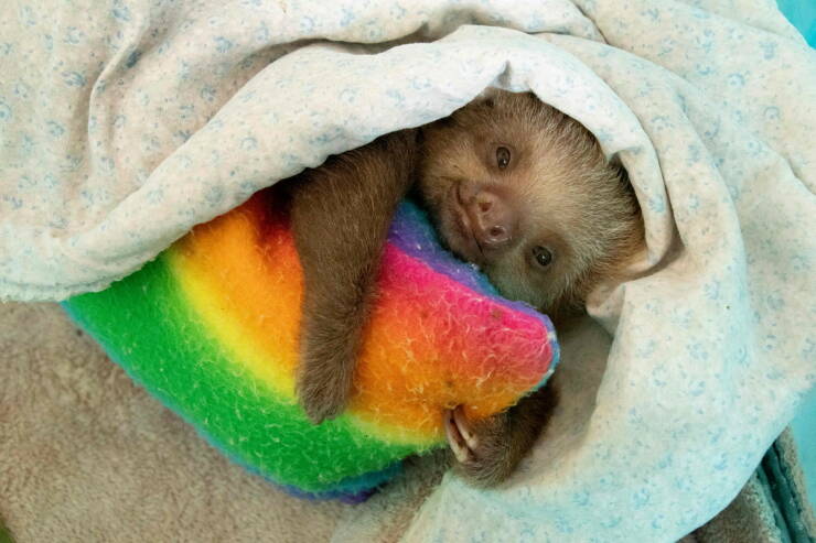 Daily Picdump Daily Picdump