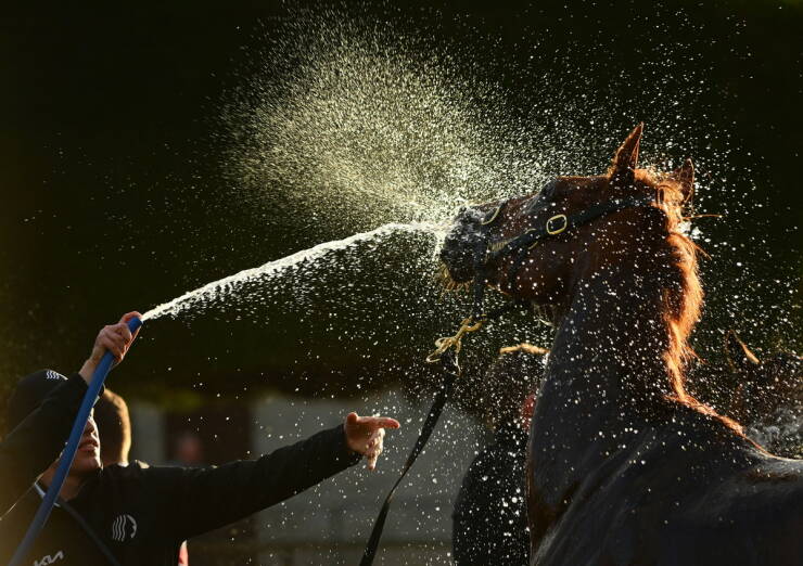 Daily Picdump Daily Picdump