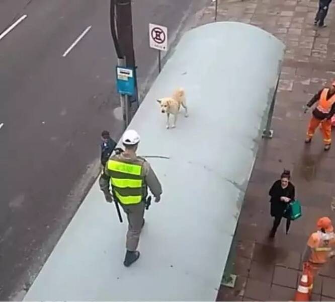 Daily Picdump Daily Picdump