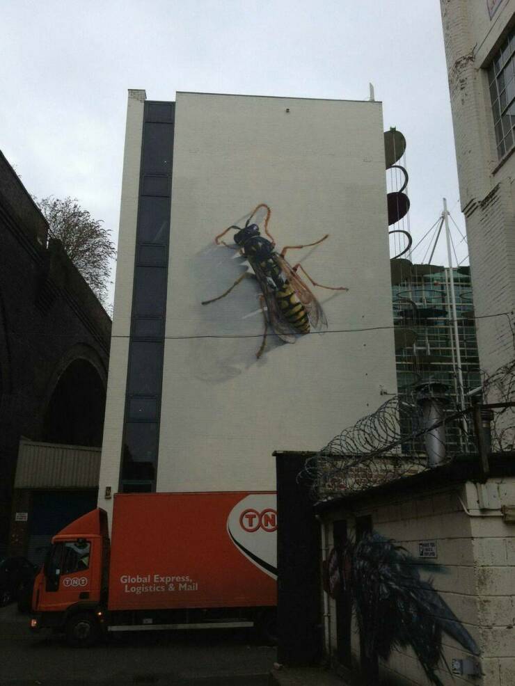 Daily Picdump Daily Picdump