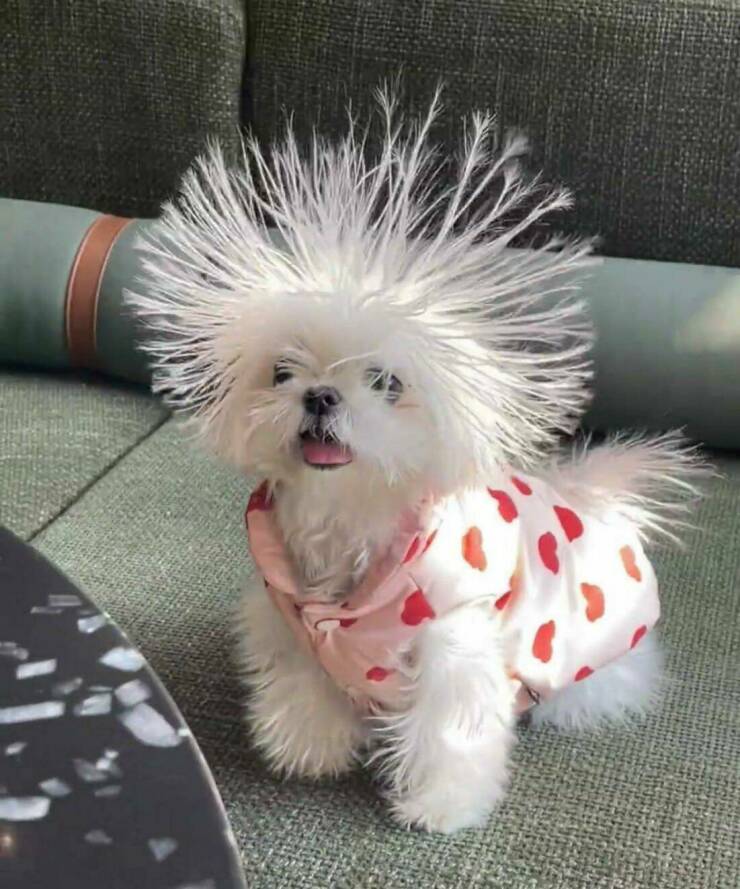 Daily Picdump Daily Picdump