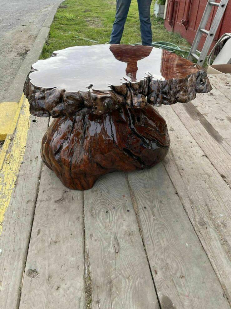 Daily Picdump Daily Picdump