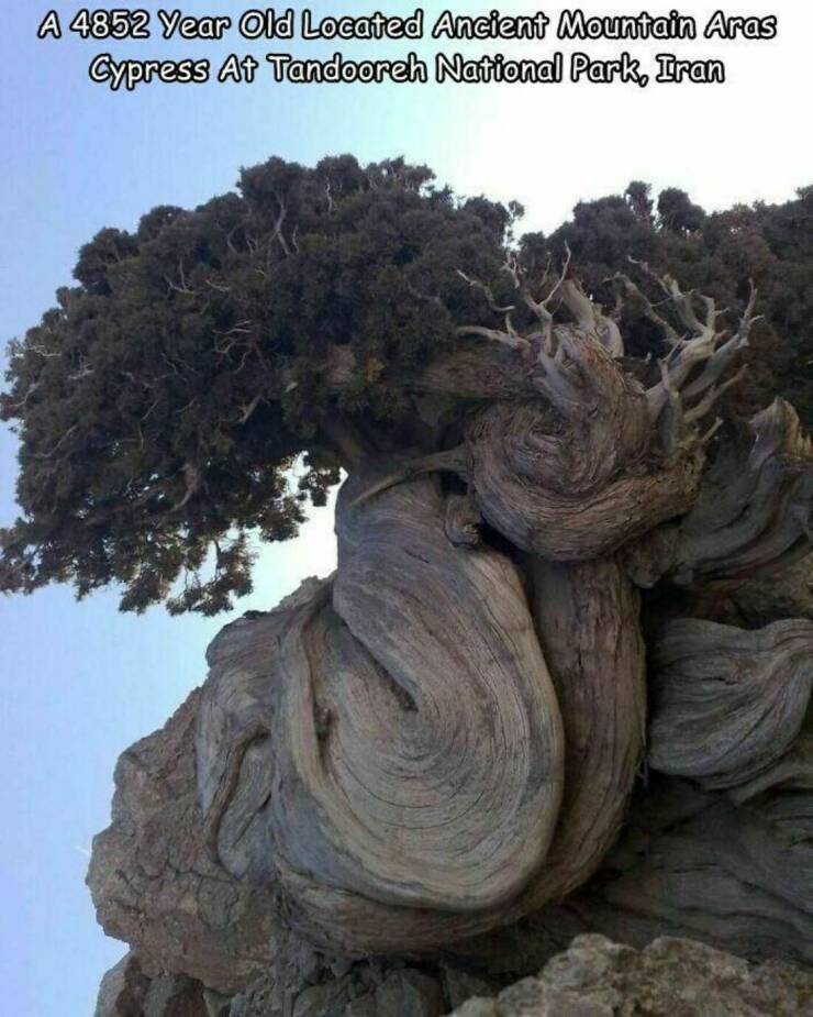 Daily Picdump Daily Picdump