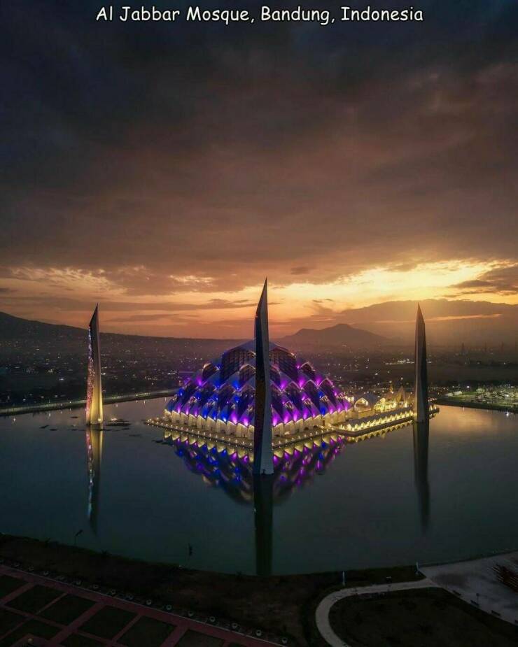 Daily Picdump Daily Picdump