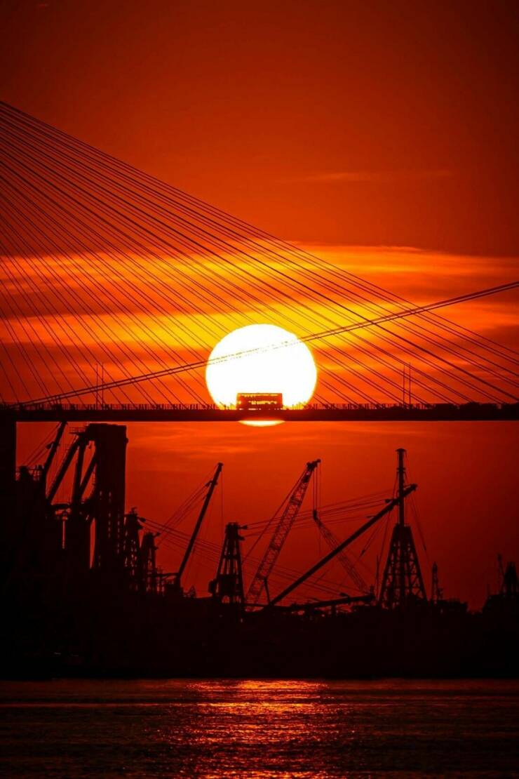 Daily Picdump Daily Picdump