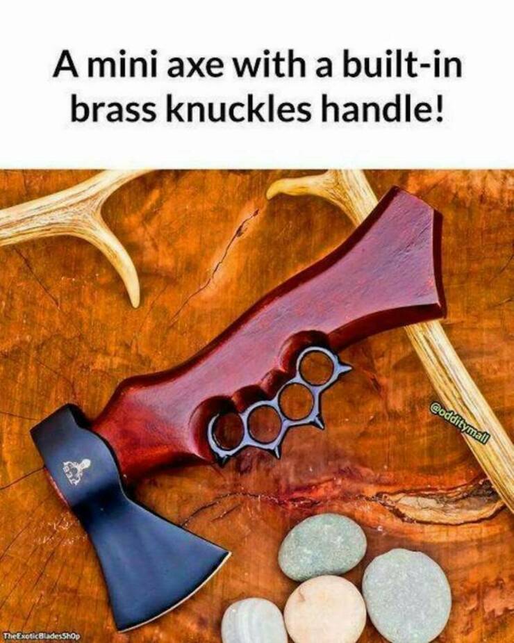 Daily Picdump Daily Picdump