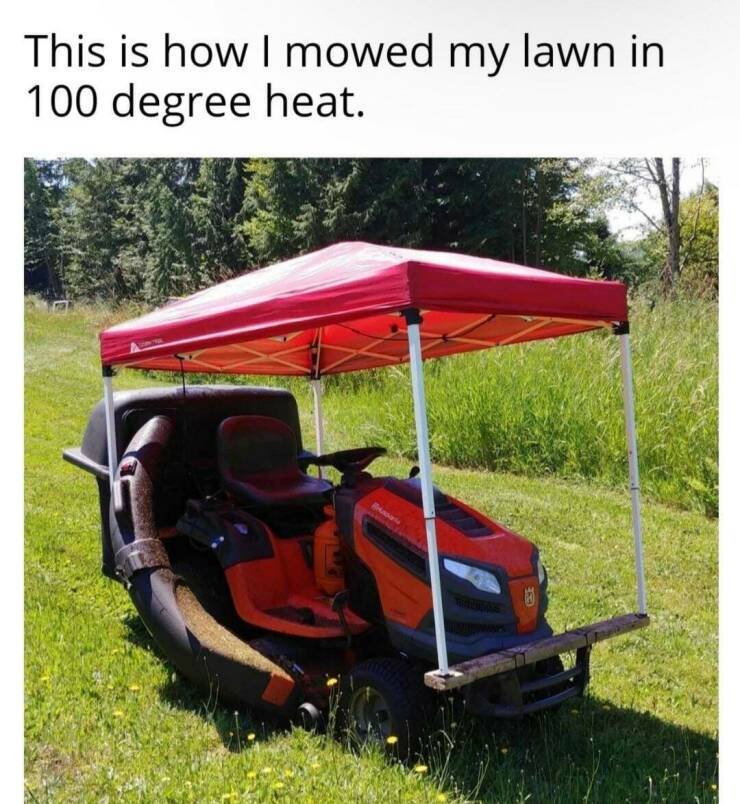 Daily Picdump Daily Picdump