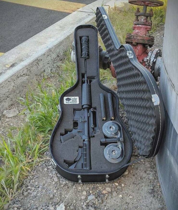 Daily Picdump Daily Picdump