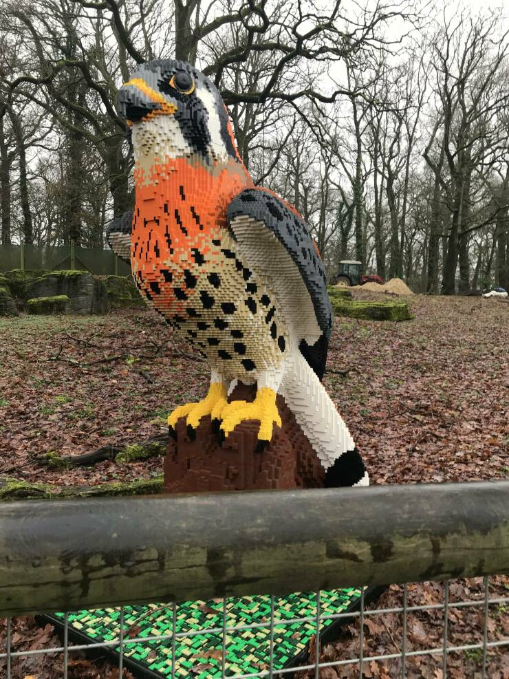 Daily Picdump Daily Picdump