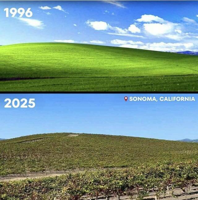 Daily Picdump Daily Picdump