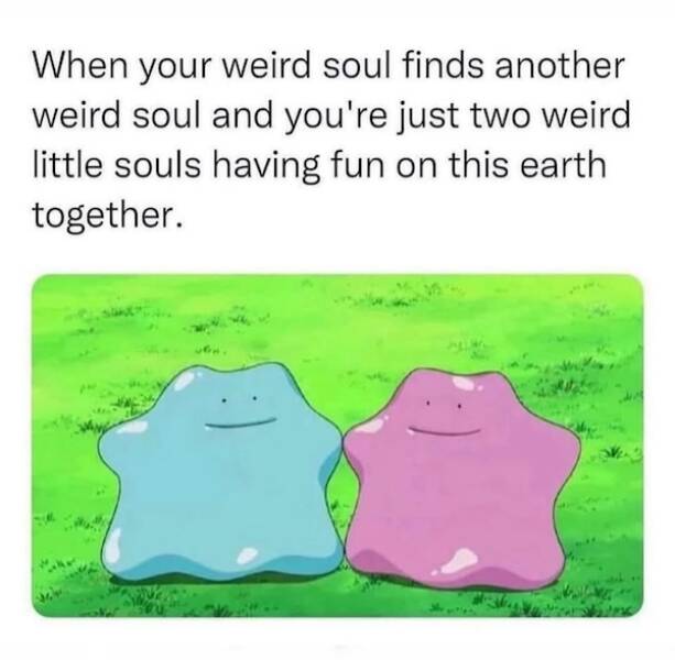 Images That Radiate Pure Good Vibes