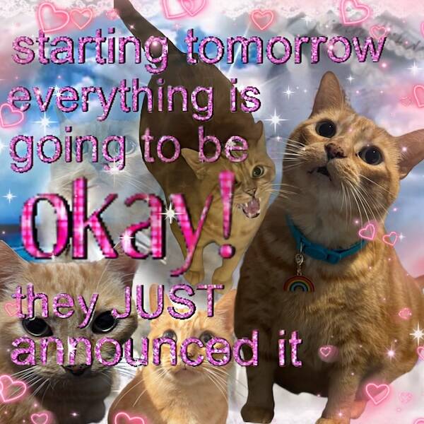 Images That Radiate Pure Good Vibes