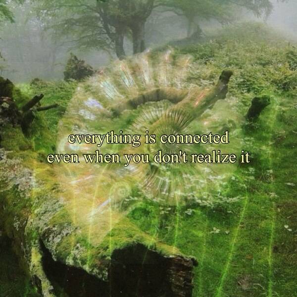 Images That Radiate Pure Good Vibes