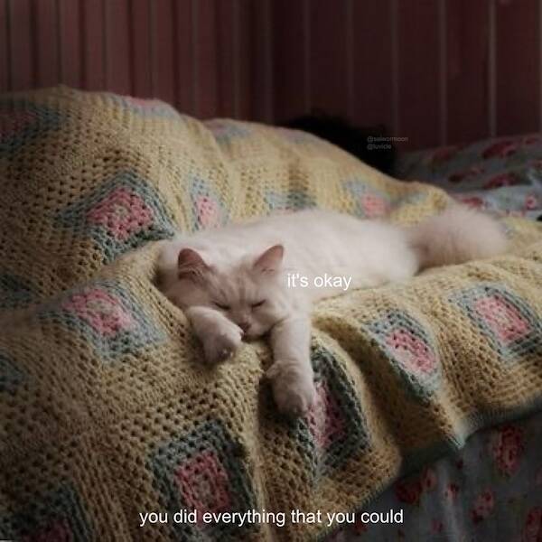 Images That Radiate Pure Good Vibes