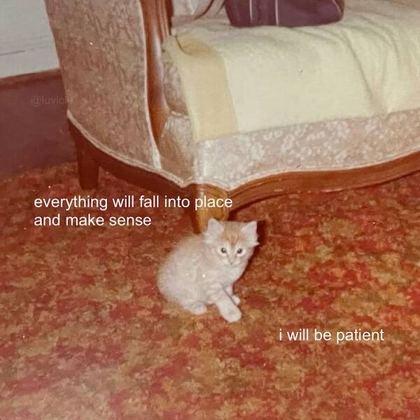 Images That Radiate Pure Good Vibes