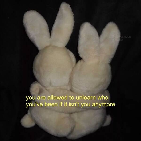 Images That Radiate Pure Good Vibes