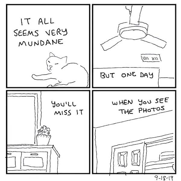 Images That Radiate Pure Good Vibes