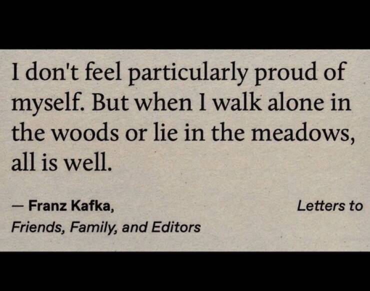 Images That Radiate Pure Good Vibes