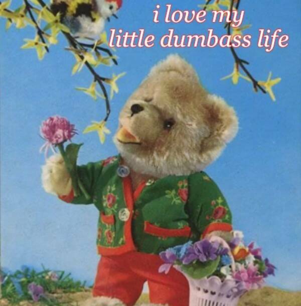 Images That Radiate Pure Good Vibes