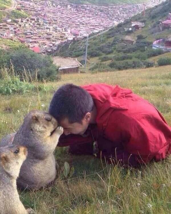 Images That Radiate Pure Good Vibes