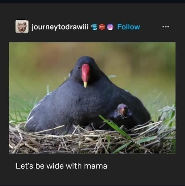 Images That Radiate Pure Good Vibes