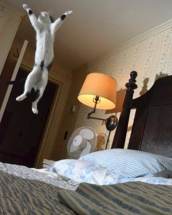 Images That Radiate Pure Good Vibes