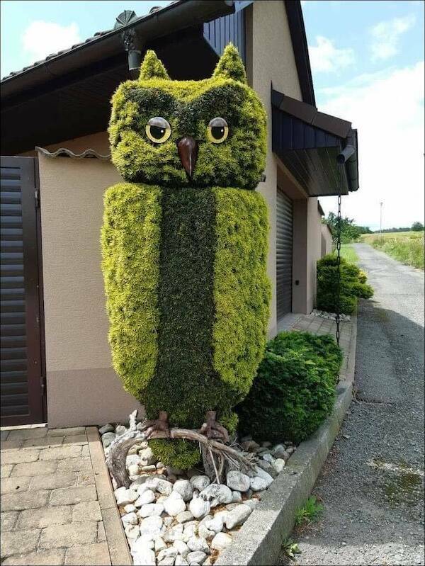 Impressed… Very Impressed!