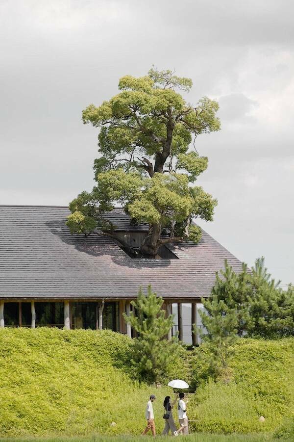 Impressed… Very Impressed!