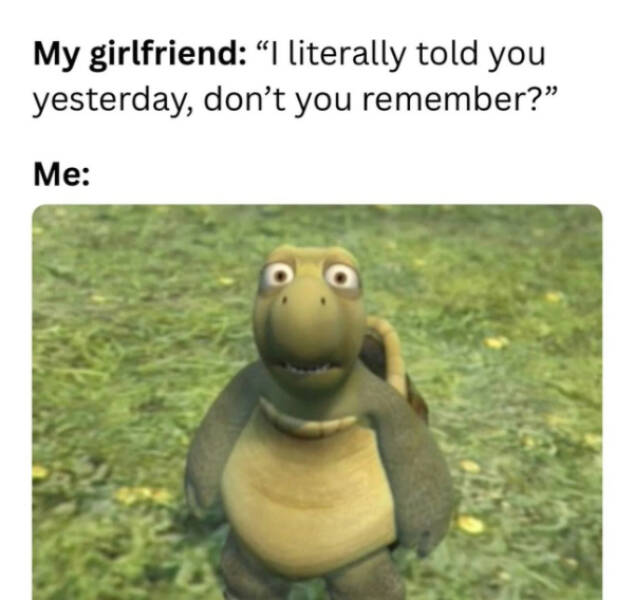 Love, Laughter, and a Little Too Much Accuracy