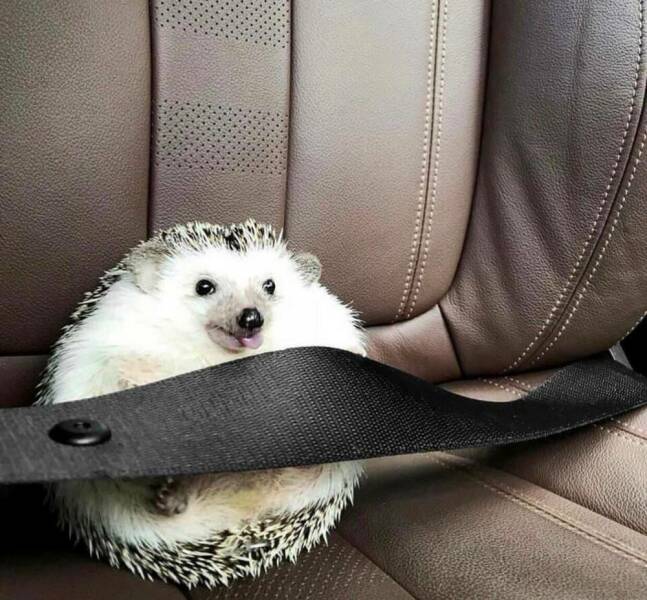 Morning Picdump Morning Picdump