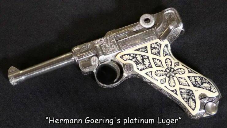 Morning Picdump Morning Picdump