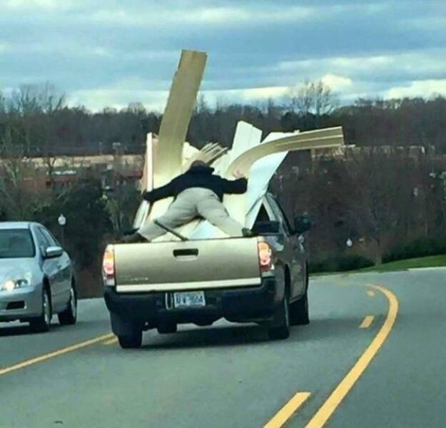 Morning Picdump Morning Picdump