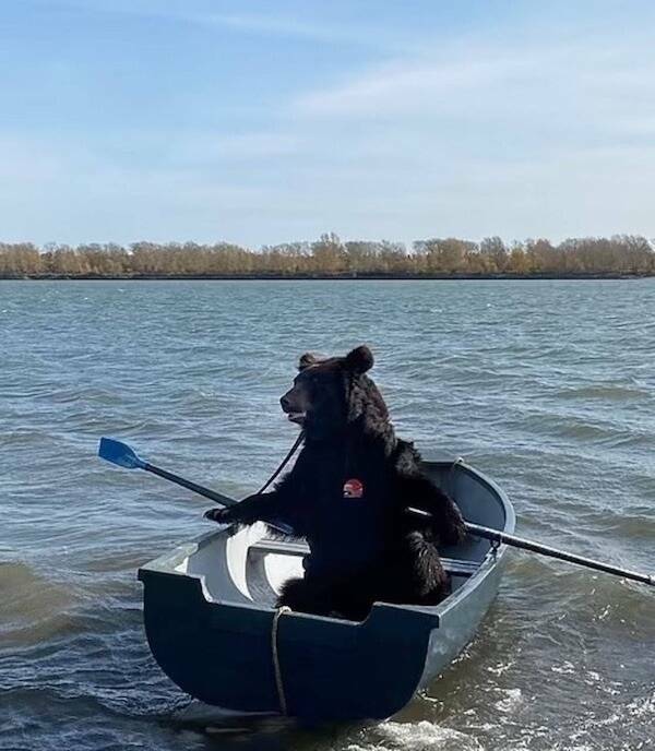 Morning Picdump Morning Picdump