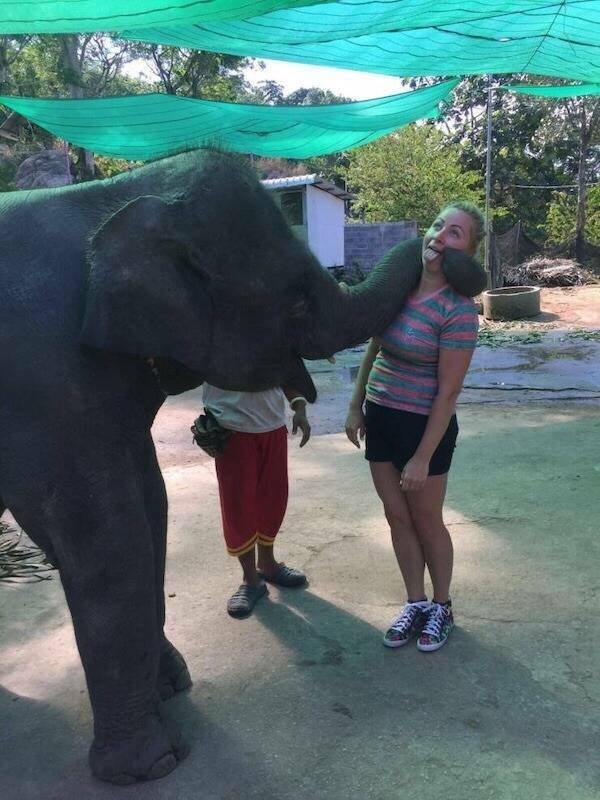 Morning Picdump Morning Picdump