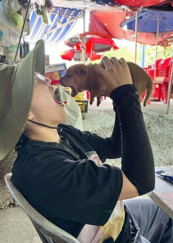 Paws, Claws, and LOLs