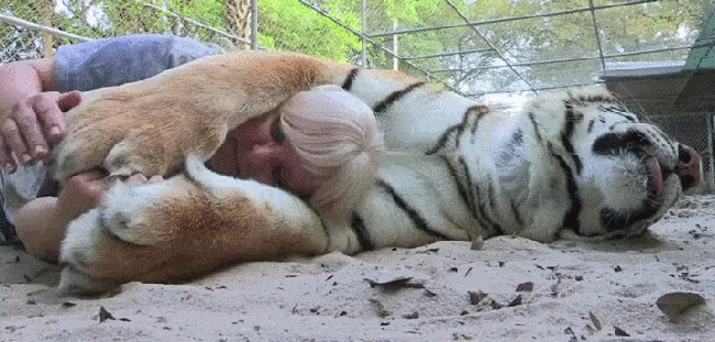 Daily Gifdump Daily Gifdump