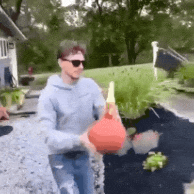 Daily Gifdump Daily Gifdump