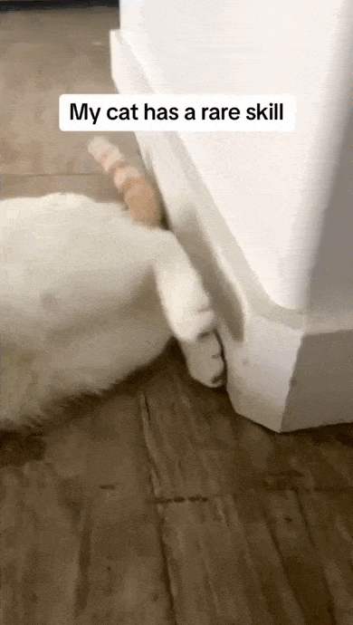 Daily Gifdump Daily Gifdump