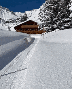 Daily Gifdump Daily Gifdump