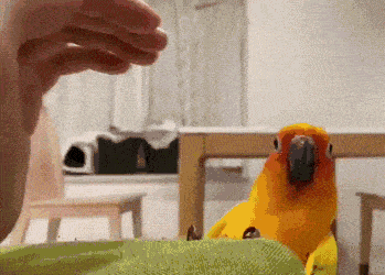 Daily Gifdump Daily Gifdump