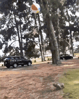 Daily Gifdump Daily Gifdump