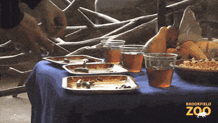 Daily Gifdump Daily Gifdump