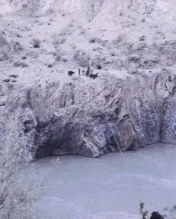 Daily Gifdump Daily Gifdump